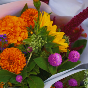 Arrangements
